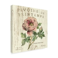 Védjegy képzőművészet' Pivoine de Printemps Sq ' vászon művészet Sue Schlabach