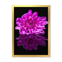 Designart 'Egyetlen lila krizantém virág a fekete reflexió' hagyományos keretes művészet nyomtatás