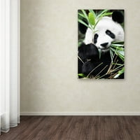 Védjegy Képzőművészet Óriás Panda I Canvas Art készítette: Philippe Hugonnard