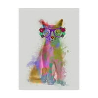Védjegy Szépművészet 'Cat Rainbow Splash 5' Canvas Art készítette Fab Funky
