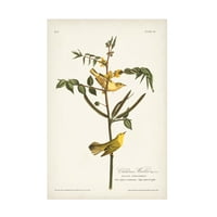 John James Audubon 'Childrens Warbler' vászon művészet