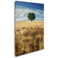Wheat Field Tree vászon művészete, Michael Blanchette Photography