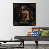 Harry Potter és a varázsló köve - Hagrid Szakácsfal poszter Pushpins, 22.375 34