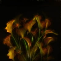 Virág Erő. Poszter Nyomtatás-Saskia Dingemans