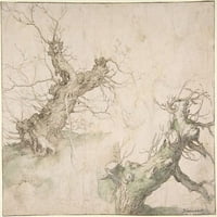 Két Pollard fűzfa tanulmányai; Verso: Abraham Bloemaert széles tájképi poszter nyomtatása