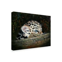 Védjegy képzőművészet 'Peekaboo Amur Leopard Cub' vászon művészet pip McGarry