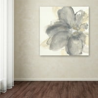 Védjegy Képzőművészet 'Floral Grey I' Canvas Art készítette: Chris Paschke