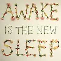 Ben Lee-az ébredés az új alvás (CD)