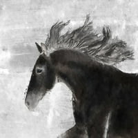 Fekete Ló Poszter Nyomtatás-Mindy Sommers