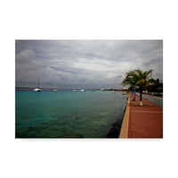 Védjegy Szépművészeti 'Bonaire 1' vászonművészet: J.D. McFarlan