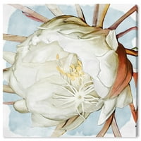 Wynwood Studio Canvas Latenight Blossom Virág- és Botanikus Flárális Villa Art Vászon nyomtatása White 12x12