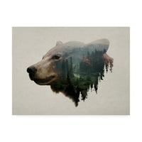 Védjegy Szépművészet 'Pacific Northwest Black Bear' vászon művészet, Davies csecsemők