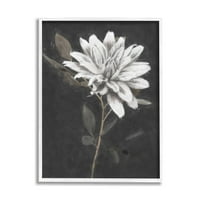 Stupell Industries Blooming Dahlia virág fekete háttér Festés Fehér keretes művészeti nyomtatási fal művészet, Nina