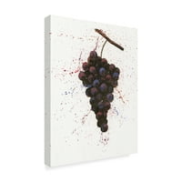 Védjegy Szépművészeti 'Wine Splash Grapes Purple' Canvas Art készítette a Wellington Studio