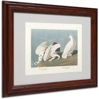 Védjegy Szépművészet American Ptarmigan Canvas Art készítette John James Audubon, fa keret