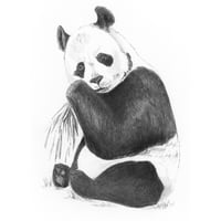 Royal & Langnickel 5 x7 Panda vázlat készült könnyű készlet