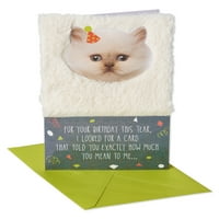 Amerikai Üdvözlet vicces cica Születésnapi kártya fóliával