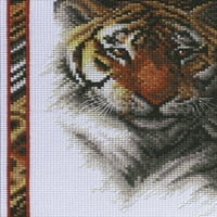 Janlynn Mini számított keresztszemes készlet 5 x7 -vadon élő tigris