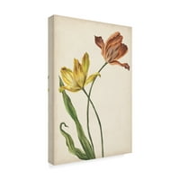 Védjegy Képzőművészet „Két tulipán i” vászon művészete: Melissa Wang