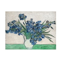 Vincent Van Gogh 'Irises White Vase' Canvas Art