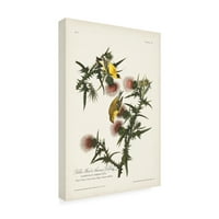 John James Audubon 'Gold Finch' vászon művészet