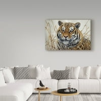 Jeff Tift, a Tiger 'vászon művészete védjegye