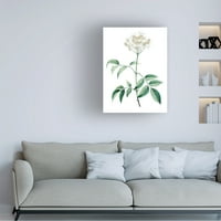 Vision Studio 'Soft Green Botanical VI' vászon művészet