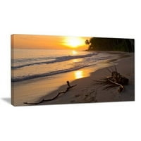 Design Art pálmafák a háttérben naplementekor fényképészeti nyomtatás becsomagolt vászon
