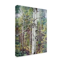 Védjegy Szépművészet 'Nyári Aspen Color' Canvas Art készítette: Carol J Rupp