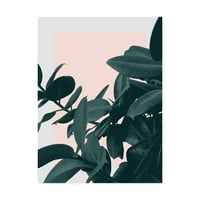 Védjegy Képzőművészet 'Képzelje el a Pink Plants' vászonművészetet, Hanna Kastl-Lungber