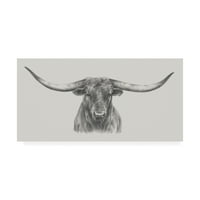 A „Longhorn Bull” vászon művészete védjegye Ethan Harper művészete