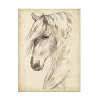 Jennifer Paxton Parker 'Horse Portré vázlat II' vászon művészet