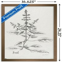 Jean Plout-botanikai tanulmányok papír bazsalikom fali poszter, 14.725 22.375 keretes