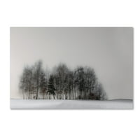 Védjegy képzőművészet 'téli erdő' vászon művészet Gilbert Claes
