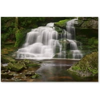 Képzőművészet, az „Elakala Falls” vászon művészete, Michael Blanchette Photography