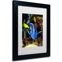 Kurt Shaffer, fehér matt, fekete keret védjegye papagáj halak vászon művészete