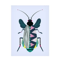 Ayse 'Beetle' vászon művészet