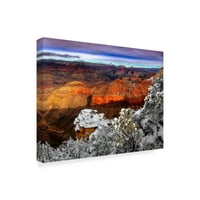 Védjegy Szépművészet 'Havas Grand Canyon IV' vászon művészete, David Drost