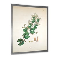 Designart 'ősi botanikumok xiii' parasztház keretes művészeti nyomtatás