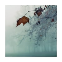 A Nicholas Bell Photography Vatemark Képzőművészet 'November Fog' vászon művészete