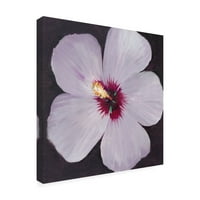 Tim O'Toole 'Hibiscus Portré I' Canvas Art