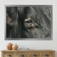 Designart „A tehén szemének közeli képe” parasztház keretes művészet nyomtatás