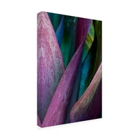 A Jean Brya vászon művészete „mély lila levelek” képzőművészeti képzőművészet