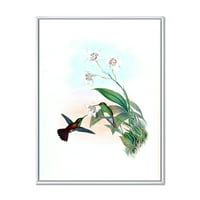 Designart 'Történelmi kolibri egy virághoz repülni' hagyományos keretes vászon fali művészet