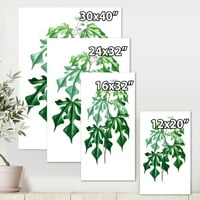 Ősi zöld levelek növények II festmény vászon művészeti nyomtatás