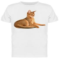 Aranyos macska ült a hátsó lábában póló Férfi-kép: Shutterstock Férfi póló, Férfi 3x-nagy