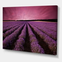 Drámai felhők és napfelkelte a levendula mező Xi Photography Art Print