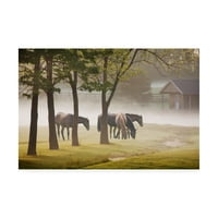 Védjegy Szépművészeti „Lovak a ködben Kentucky színes vászon művészete Monte Nagler