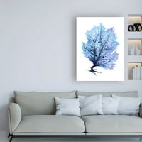 Védjegy Szépművészet 'Fan Coral - Blue' Canvas Art készítette: Sam Nage