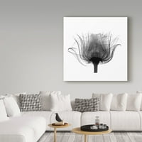 Stupell Industries bolyhos felhők mélykék óceánhullámok festmény Jet fekete úszó keretes vászon nyomtatott fali művészet,